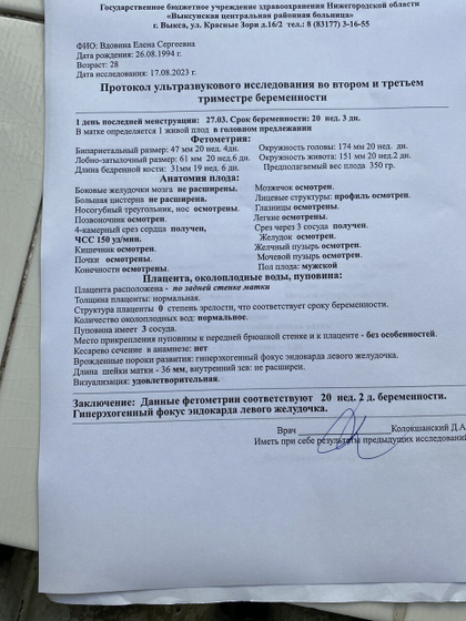 Гиперэхогенный фокус в ЛЖ