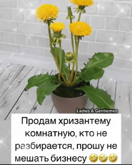 Продам ???