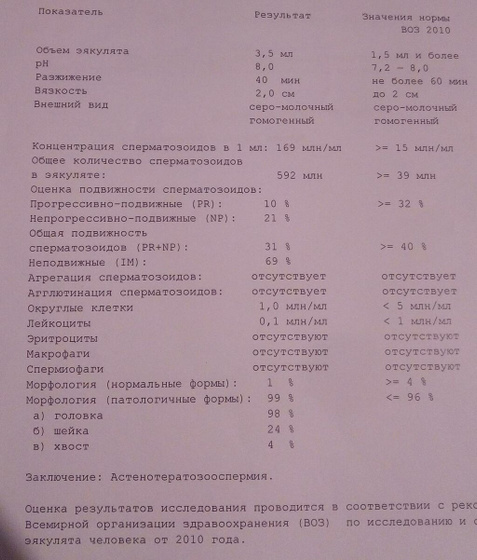 Результаты спермограммы.