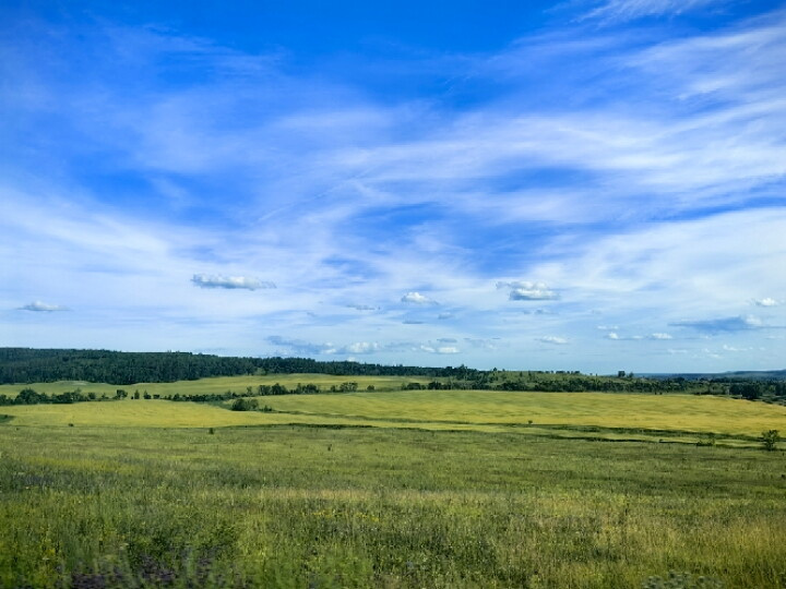Сгоняли к сыну в