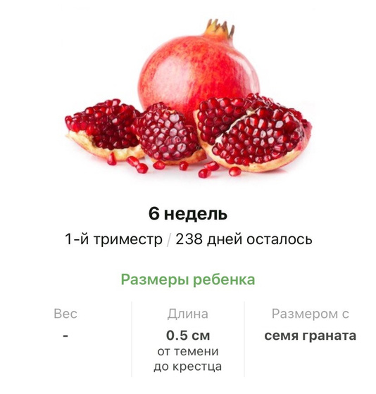 6 недель .