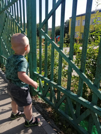 Неделя в саду.