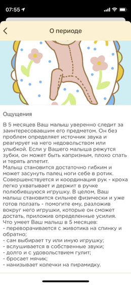 5 месяцев