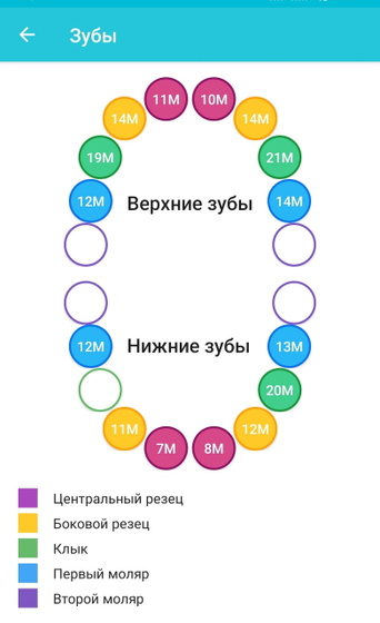 Третий клык 🥳
