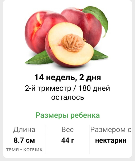 Всем привет