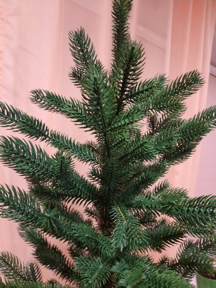 Найден компромисс! 🎄