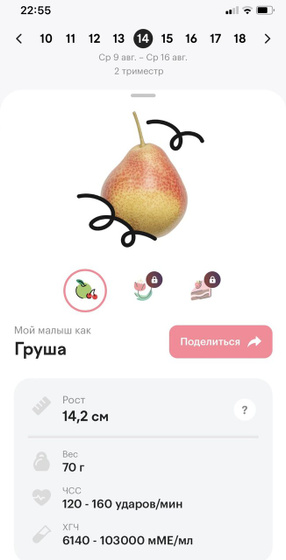 14 н е д е л е к ??