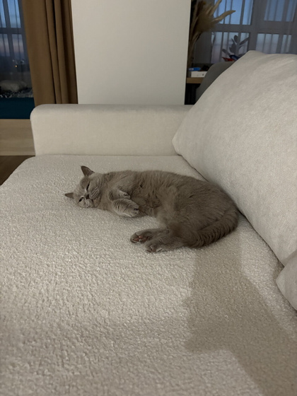 Лежим с моей🐱 все