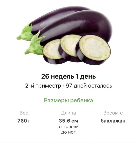 2️⃣6️⃣ недель ❤️.