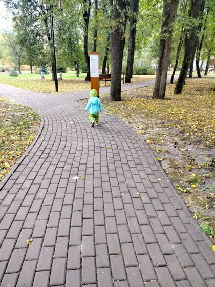 Всем добрый вечер 🌃