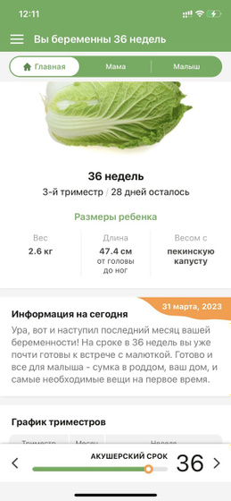 Осталось 28 дней до встречи ?