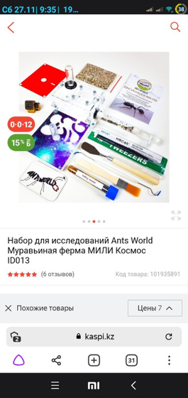 Муравьиная ферма 🐜