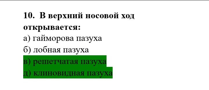 Анатомия