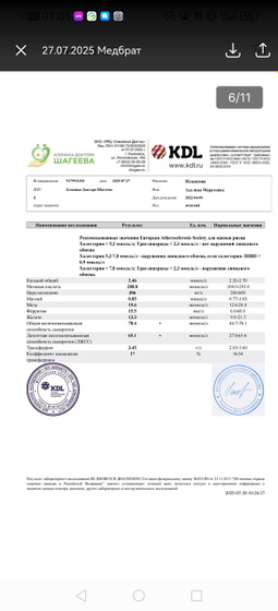 Железо