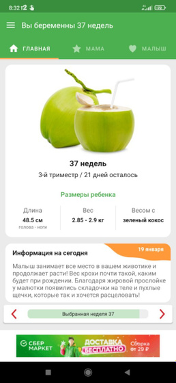 37 недель, что происходит с организмом