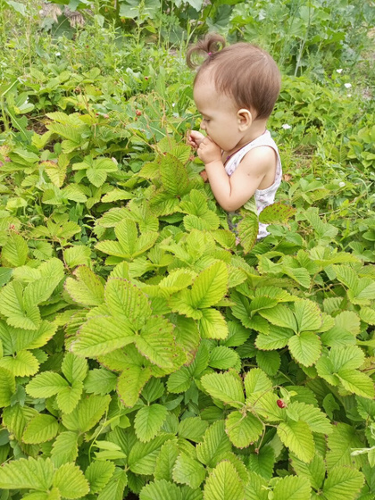 С грядки вкуснее 🍓🤭