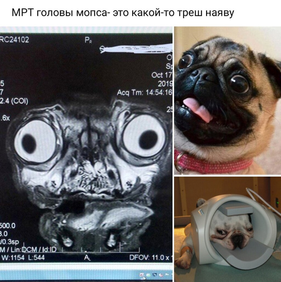 Я не знаю зачем