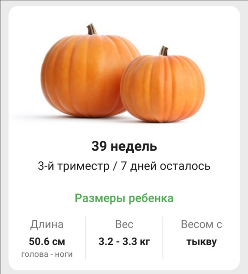 39 недель