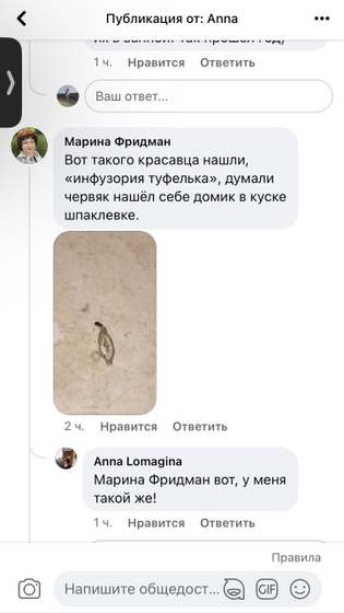 Гун не помог, все