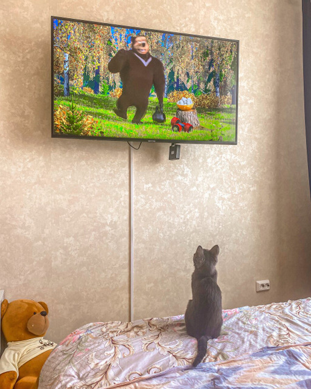 У нас в семье