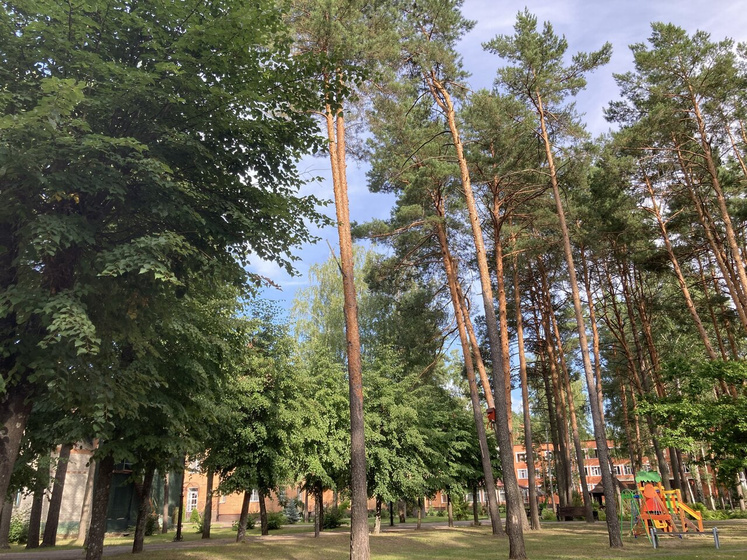 Девочки , как же