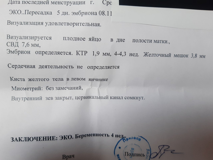 21Дпп.