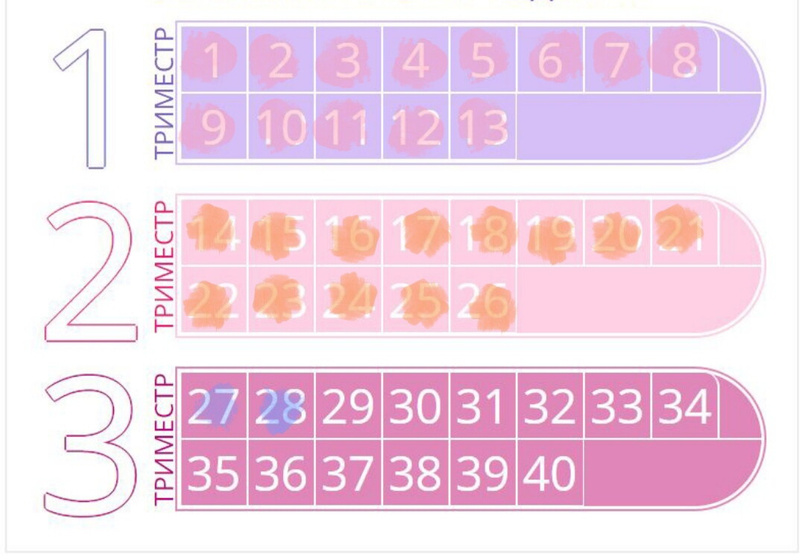 28