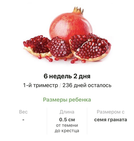 6️⃣ недель ?.