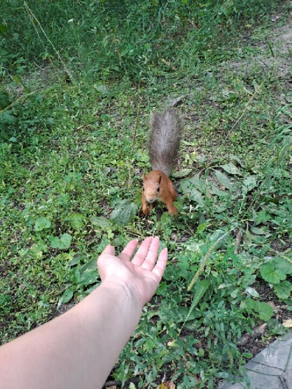 Не его, а он...