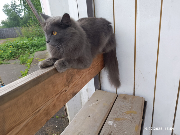 Очередное погулять