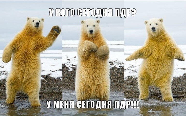 У меня сегодня ДР и ПДР