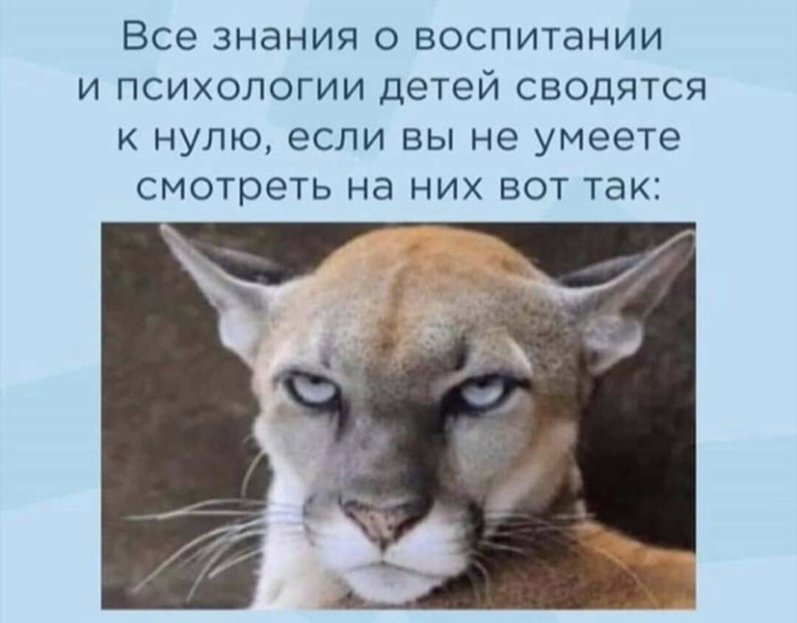 Вопрос к многодетным. Репост.