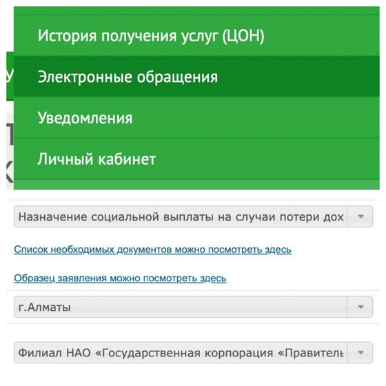 Как получить дородовые выплаты без похода в ЦОН?