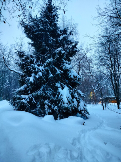 Пейзажи вокруг больницы 🌲❄️☃️