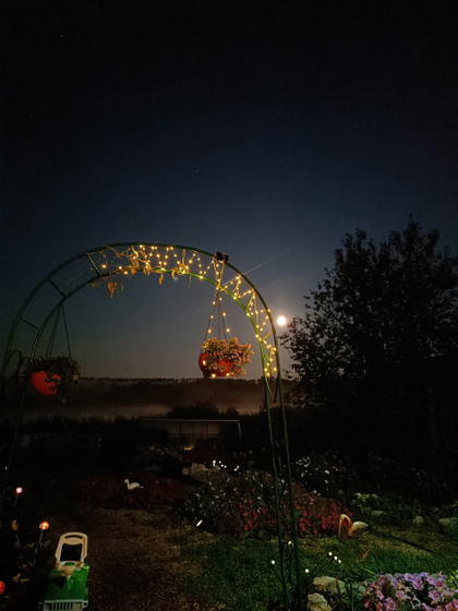 Крендель с булочкой