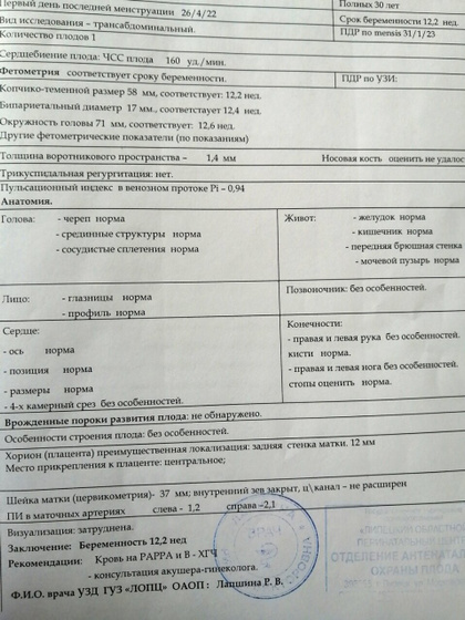 1 скрининг. Носик.
