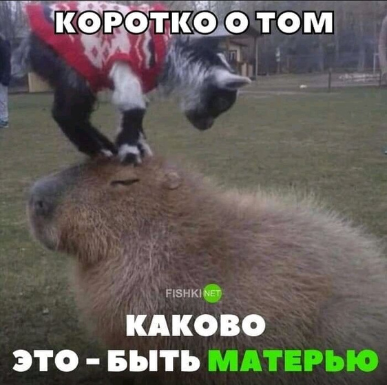 Продолжение???