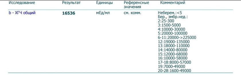ХГЧ 26.07.2021