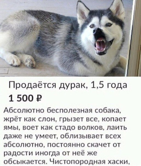 А какие вам попадались