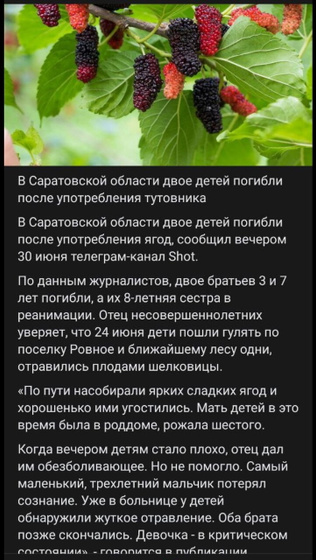 Девочки,А что тутовник ядовит?