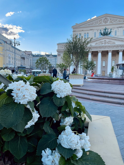 Летние денечки