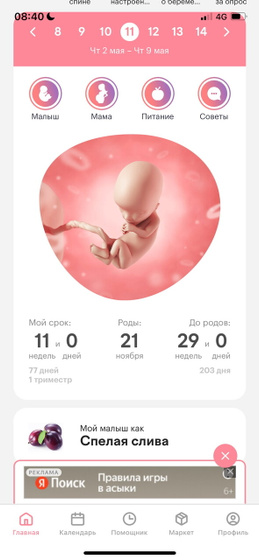 11 неделька ?