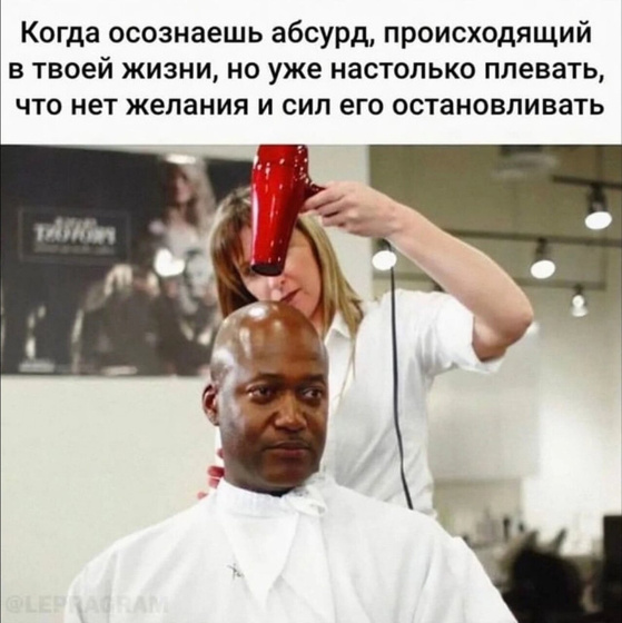 Картинка полностью описывает мою жизнь 😁