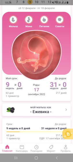 9 неделек.