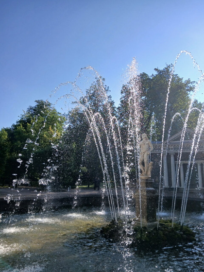 Добрейшее, солнечное, уже осеннее 🍂 🌞