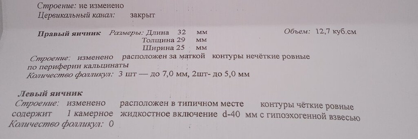УЗИ расшифровка