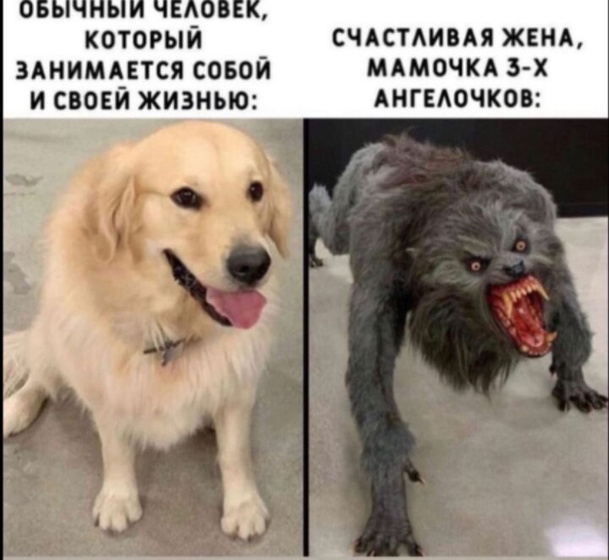 Браво ?