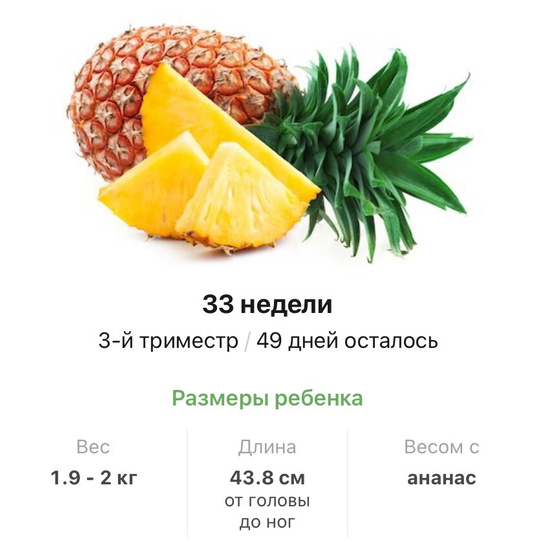 33 недели .