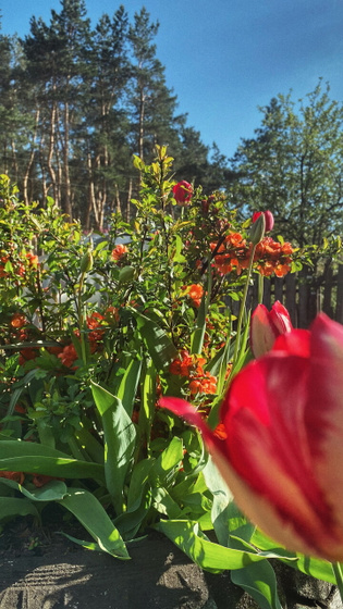 Деревня 🌲🌷🌻