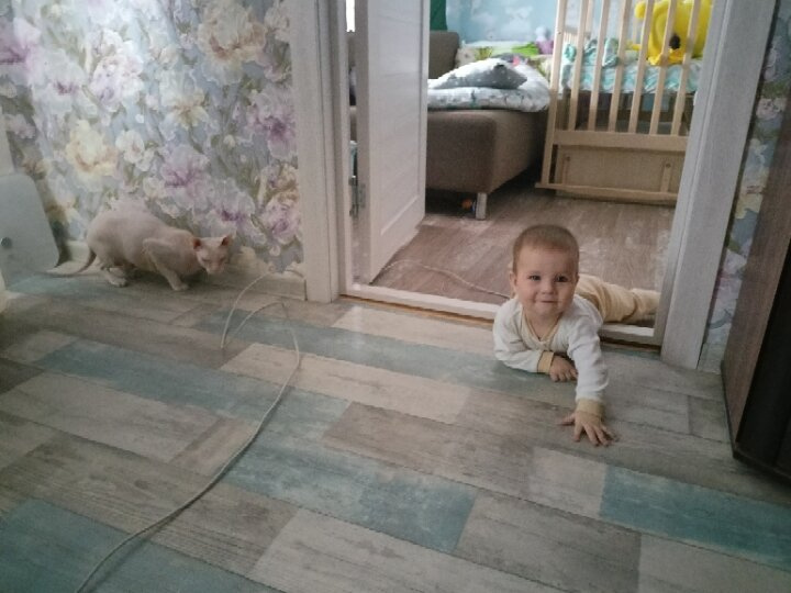 Нам сегодня 8 месяцев,